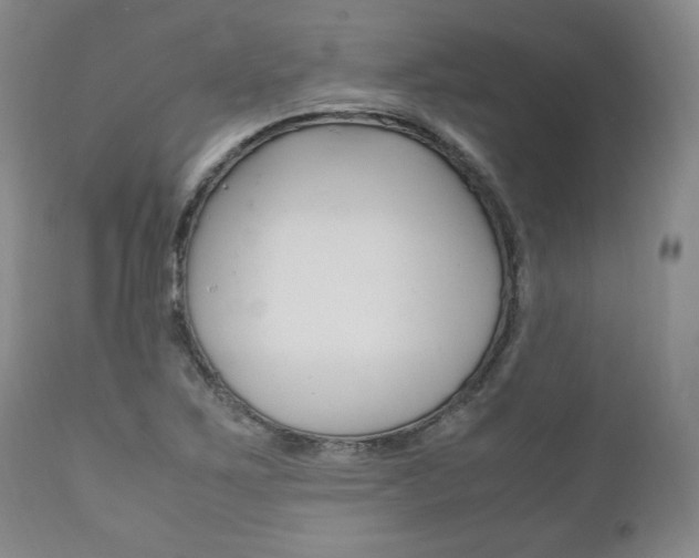 X0000111121267200906301033