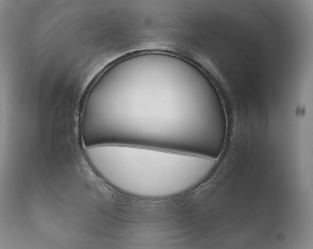 X0000111121268200906301033