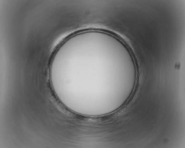 X0000111121271200906301033