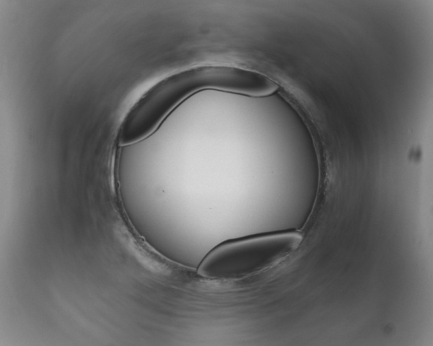 X0000111121272200906301033