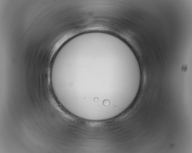 X0000111121274200906301033