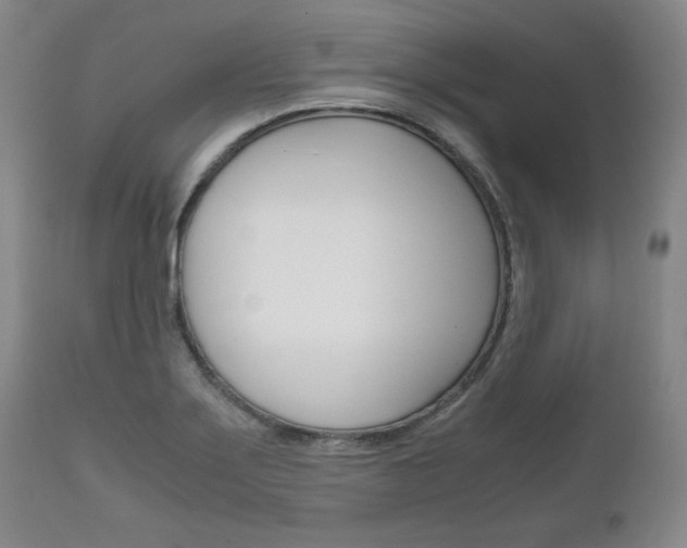 X0000111121275200906301033