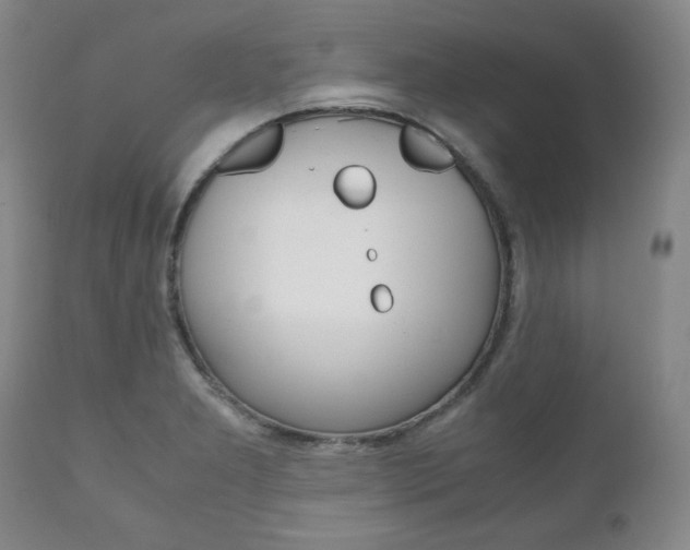 X0000111121277200906301033