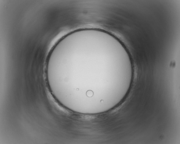 X0000111121278200906301033