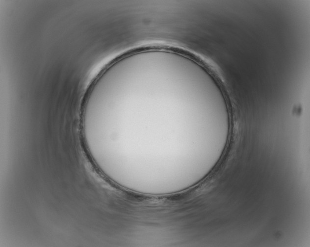 X0000111121279200906301033