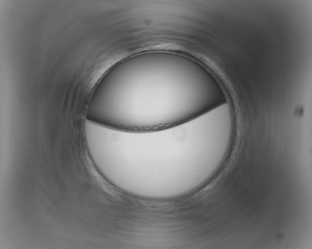X0000111121281200906301033
