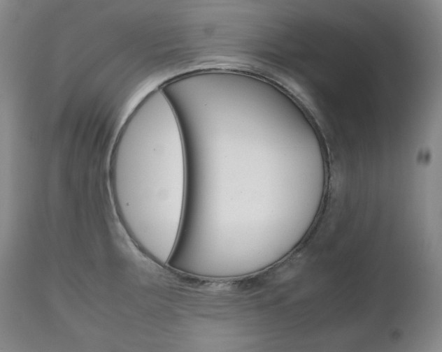 X0000111121283200906301033