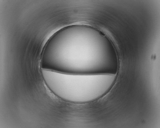 X0000111121284200906301033