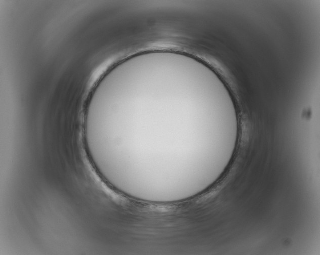 X0000111121286200906301033