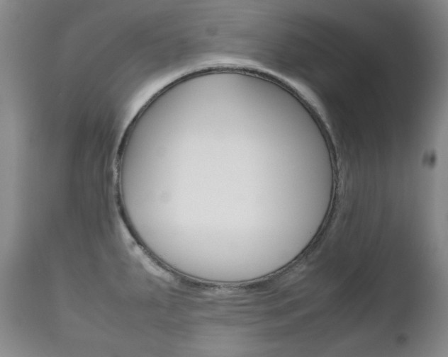 X0000111121287200906301033