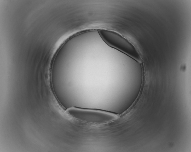 X0000111121288200906301033
