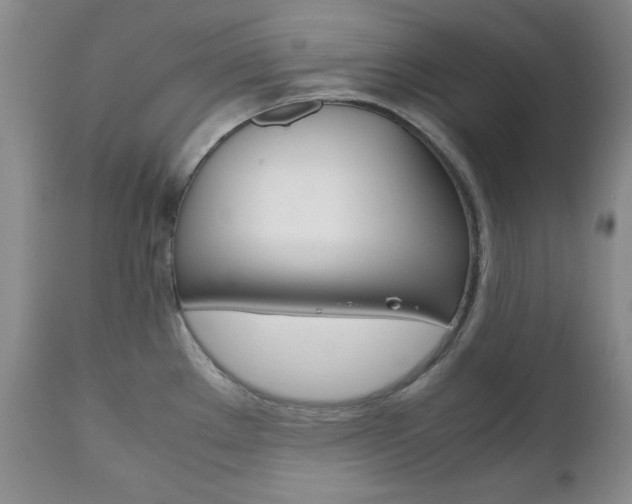 X0000111121289200906301033