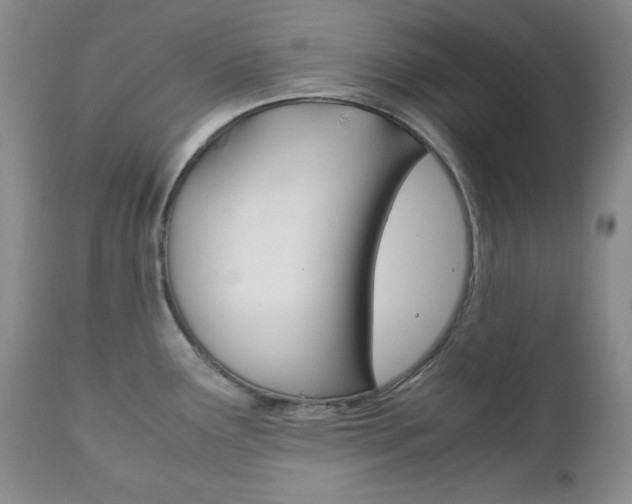 X0000111121291200906301033