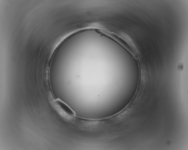 X0000111121292200906301033