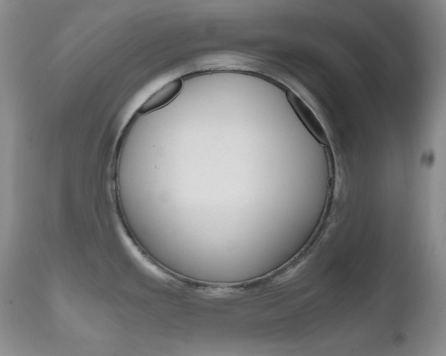 X0000111121293200906301033