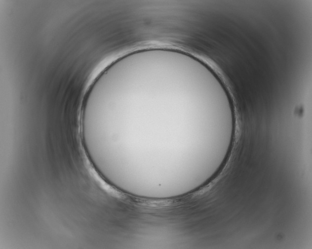 X0000111121294200906301033