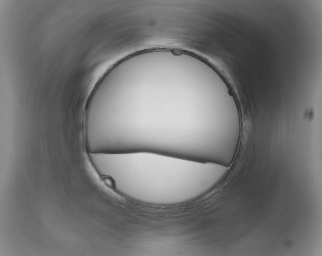 X0000111121295200906301033