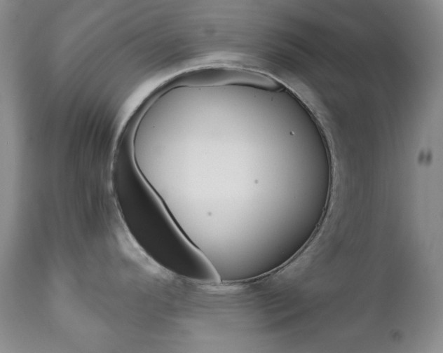 X0000111121296200906301033