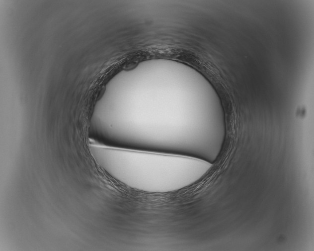 X0000111121297200906301032
