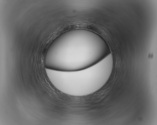X0000111121298200906301032