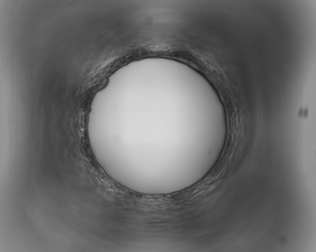 X0000111121301200906301032