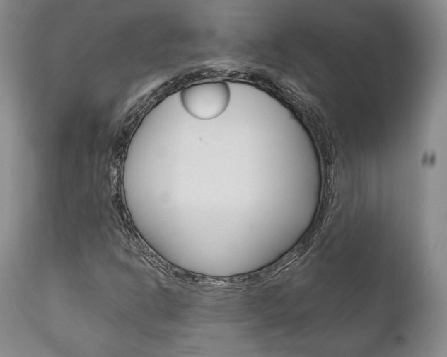 X0000111121302200906301032