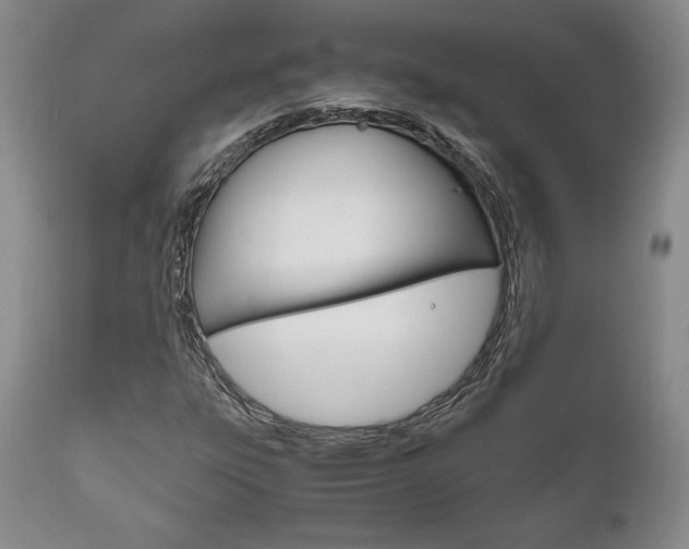 X0000111121303200906301032