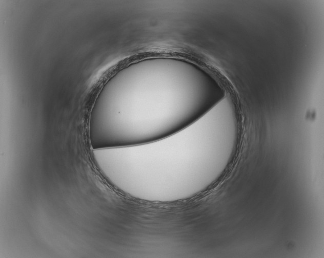 X0000111121304200906301032