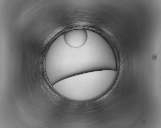 X0000111121305200906301032