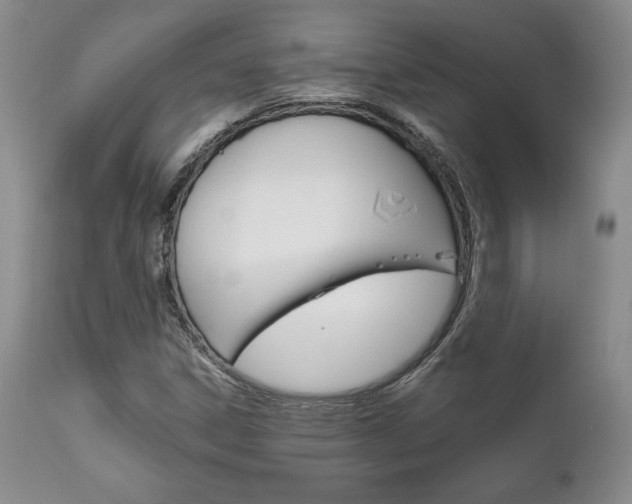 X0000111121306200906301032
