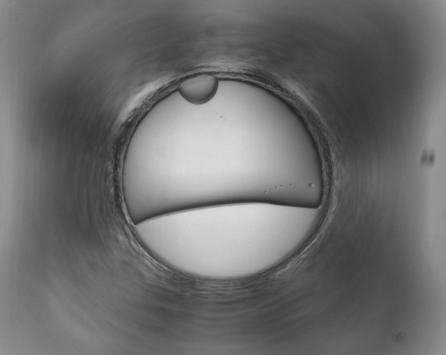 X0000111121307200906301032