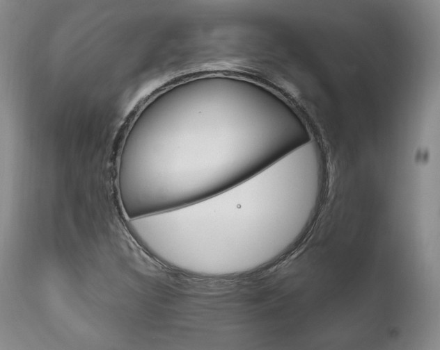 X0000111121308200906301032