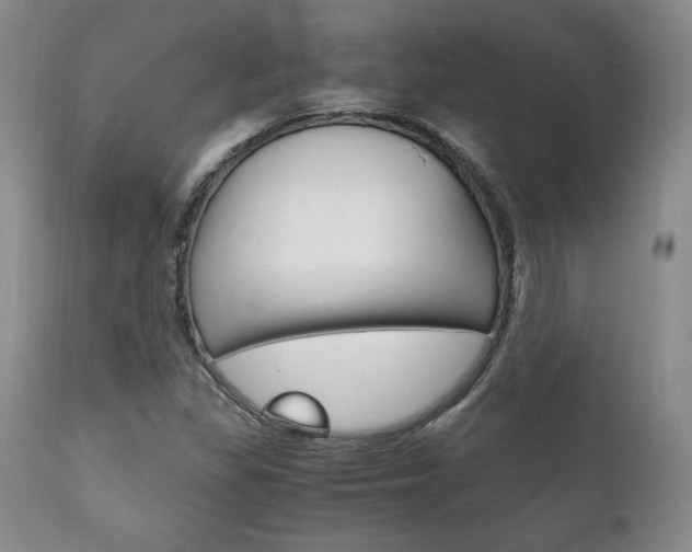 X0000111121309200906301032