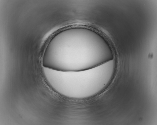X0000111121310200906301032