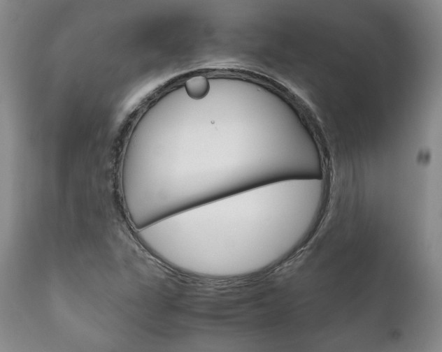 X0000111121311200906301032