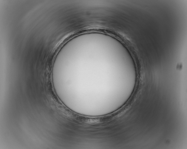 X0000111121313200906301032