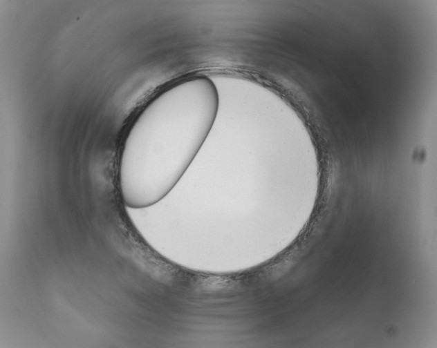 X0000111121314200906301032