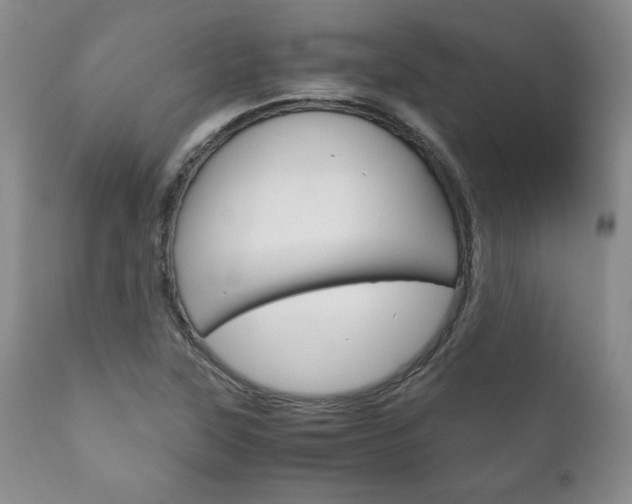 X0000111121315200906301032