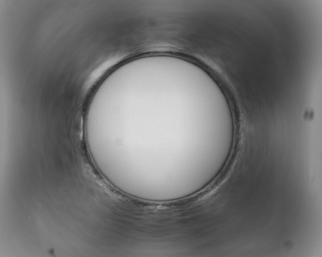 X0000111121317200906301033