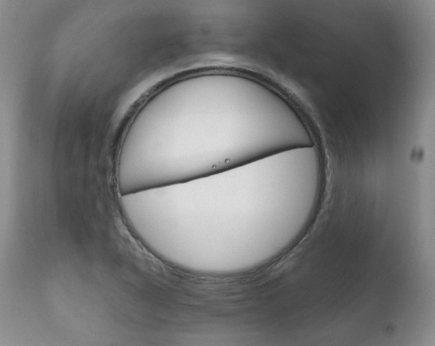 X0000111121318200906301033