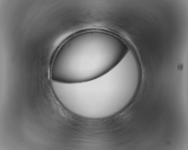 X0000111121320200906301033