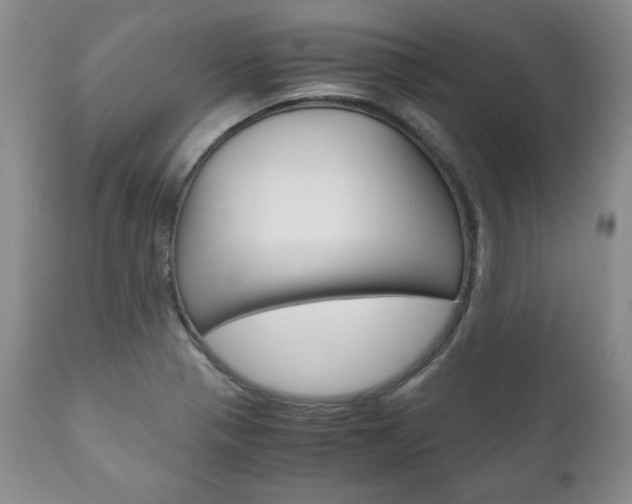 X0000111121321200906301033