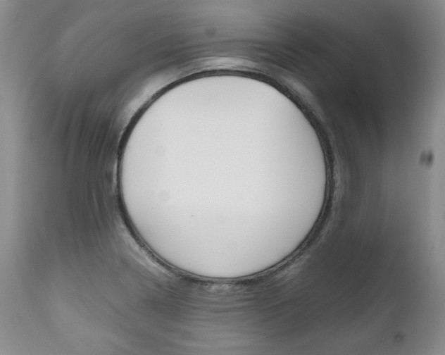 X0000111121322200906301033