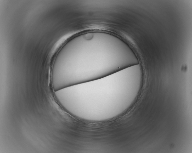 X0000111121323200906301033