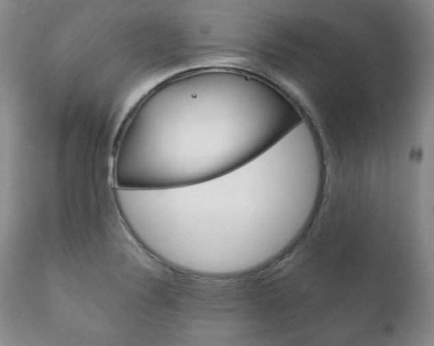 X0000111121324200906301033