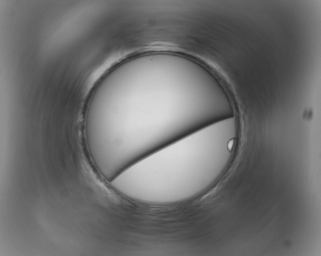 X0000111121325200906301033