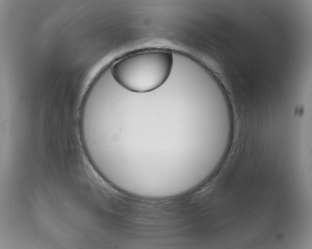 X0000111121326200906301033
