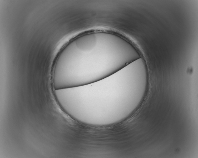 X0000111121327200906301033