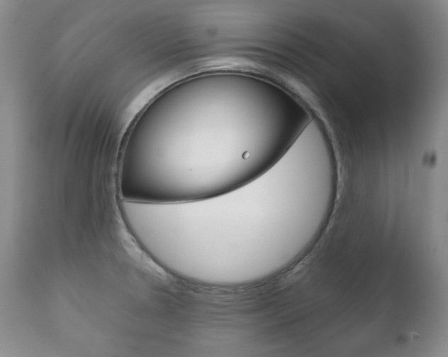 X0000111121330200906301033