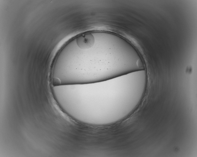 X0000111121331200906301033